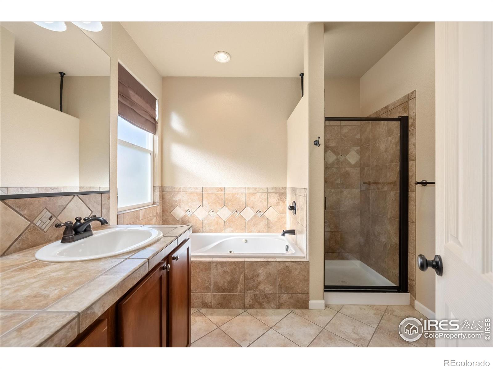 MLS Image #18 for 209  oak street,windsor, Colorado