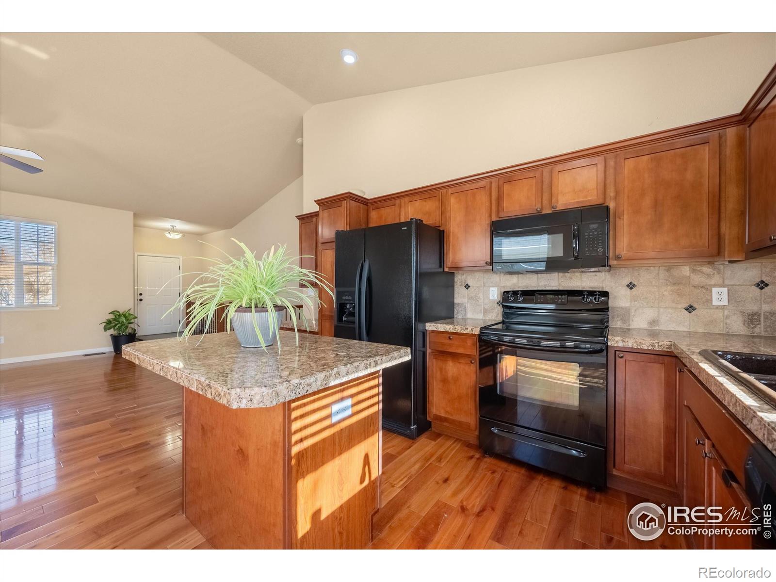 MLS Image #6 for 209  oak street,windsor, Colorado