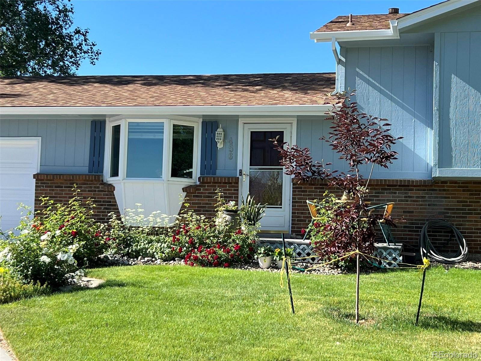 Report Image for 456  Pluto Court,Lone Tree, Colorado