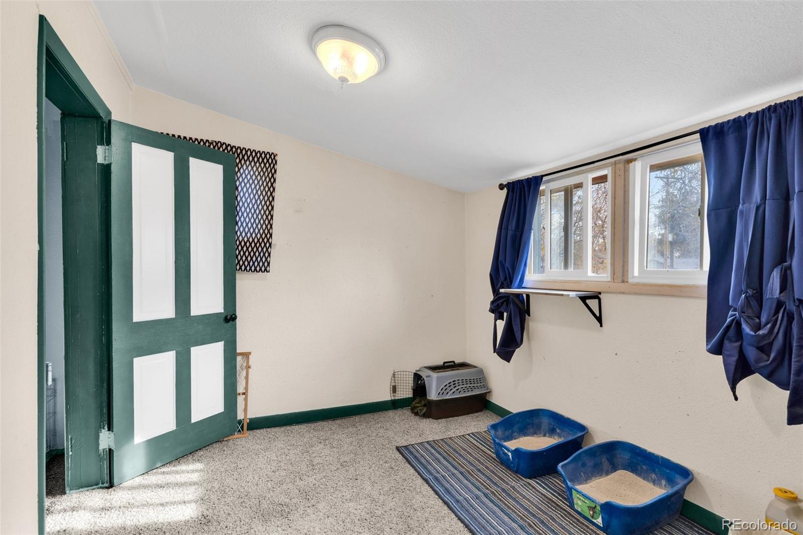 MLS Image #15 for 216  greenwood avenue,canon city, Colorado