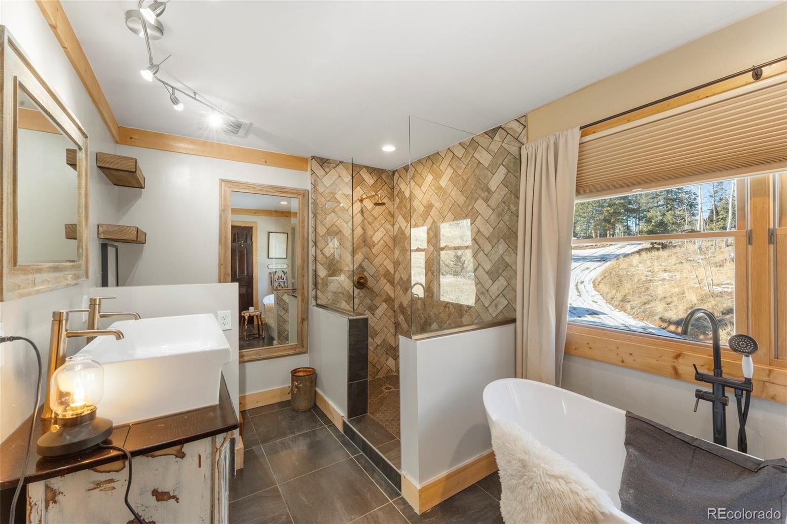 MLS Image #19 for 628  aspen lane,bailey, Colorado