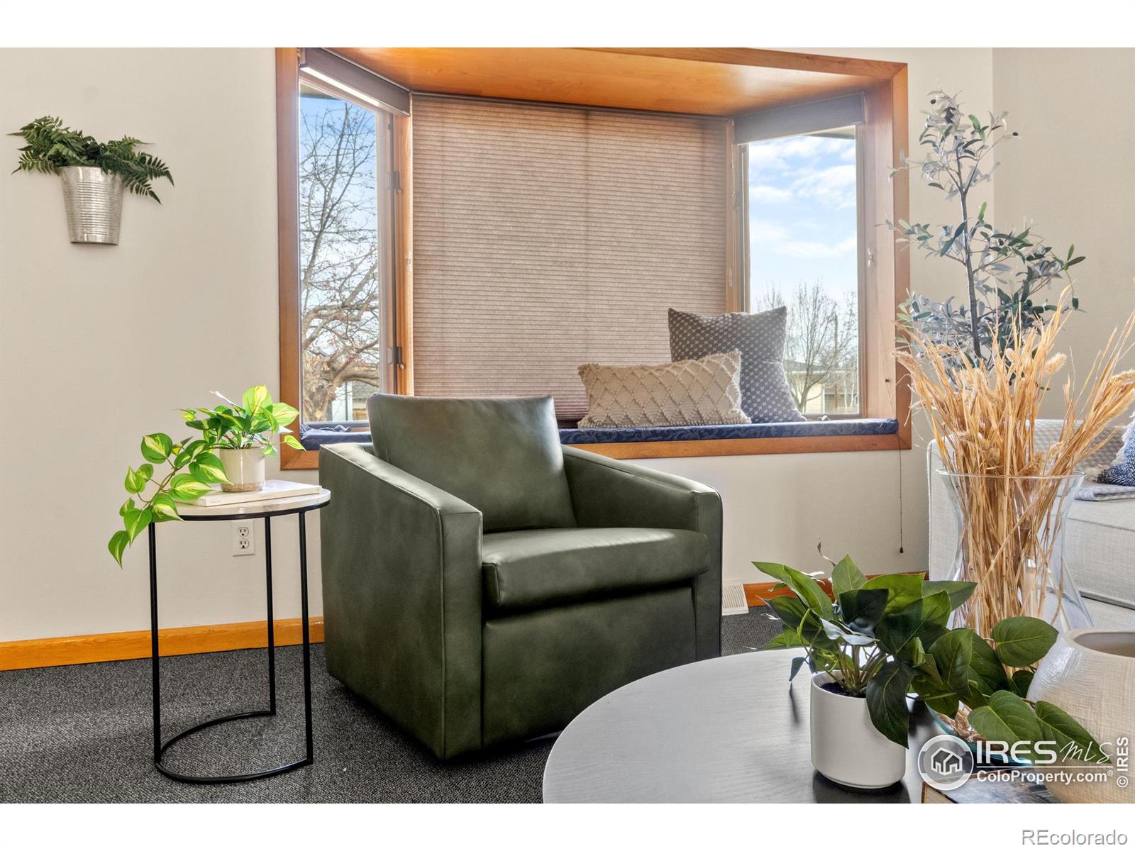 MLS Image #6 for 2604  spruce drive,loveland, Colorado
