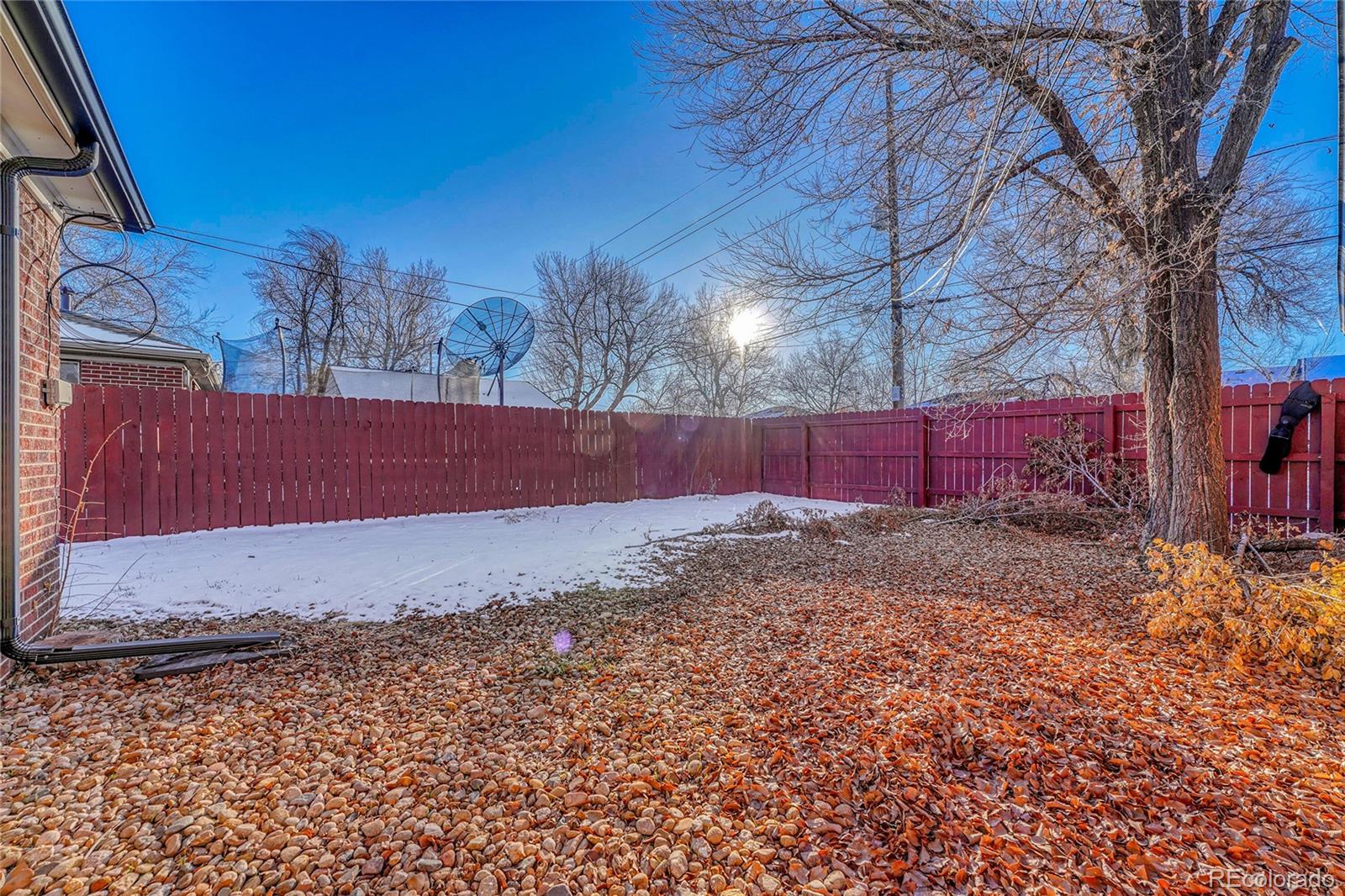 MLS Image #6 for 3581  olive street,denver, Colorado