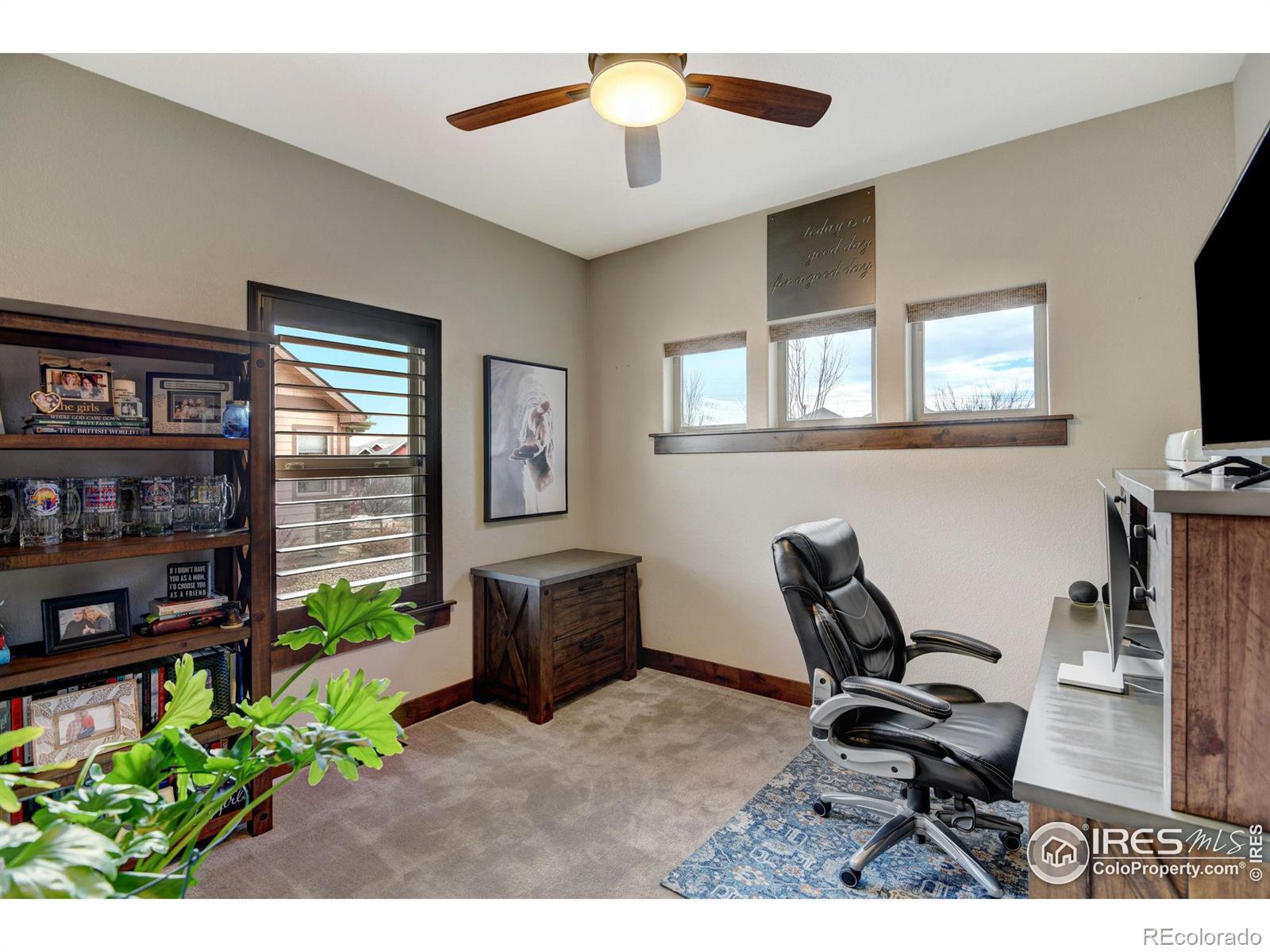 MLS Image #20 for 3617  desert rose drive,loveland, Colorado