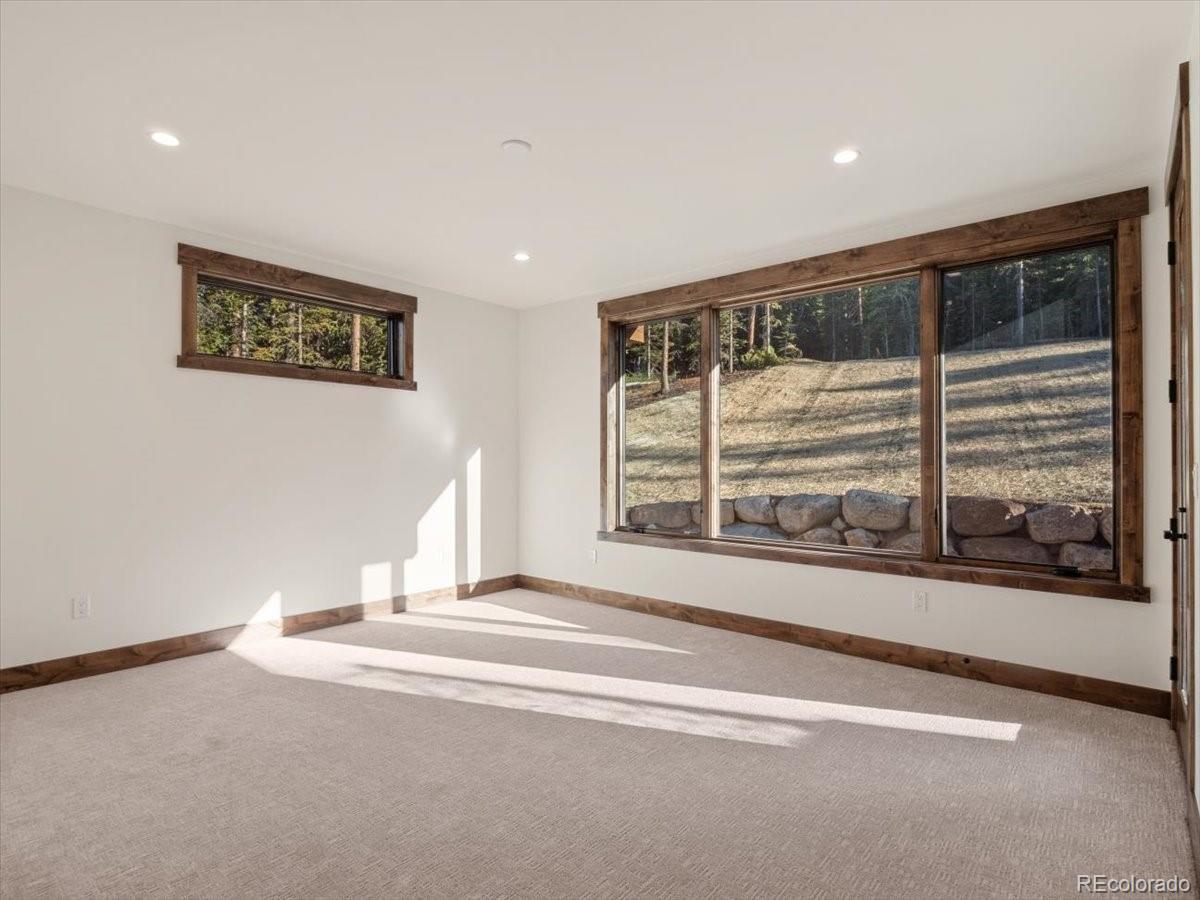 MLS Image #10 for 528 n fuller placer ,breckenridge, Colorado