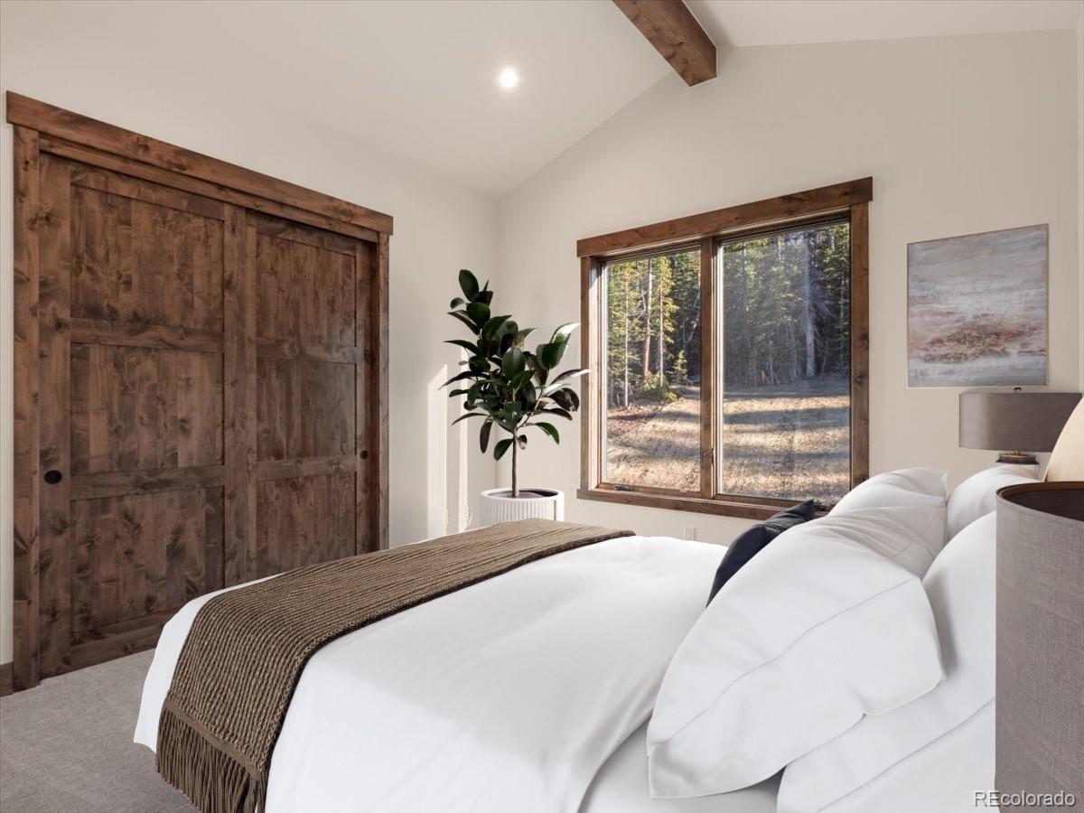 MLS Image #18 for 528 n fuller placer ,breckenridge, Colorado