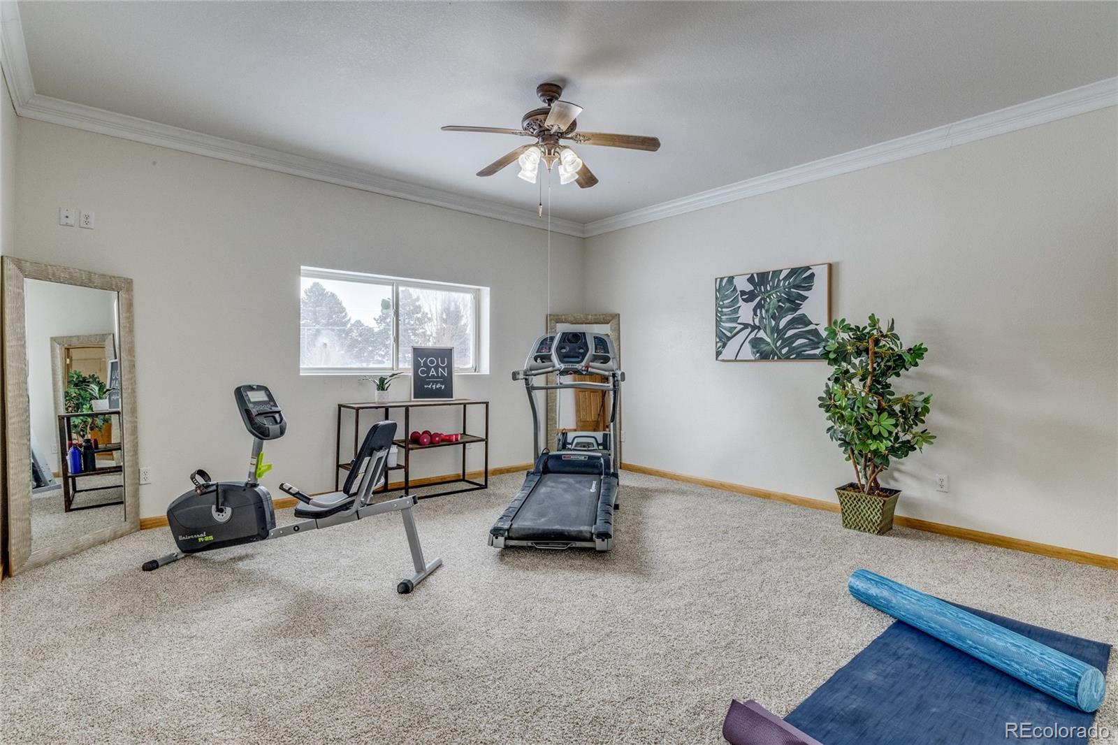 MLS Image #12 for 1912  shrider road,colorado springs, Colorado