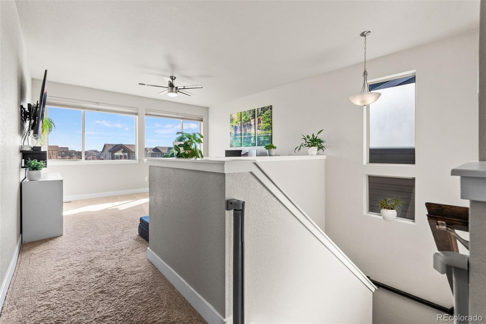 MLS Image #19 for 6893  decatur street,denver, Colorado