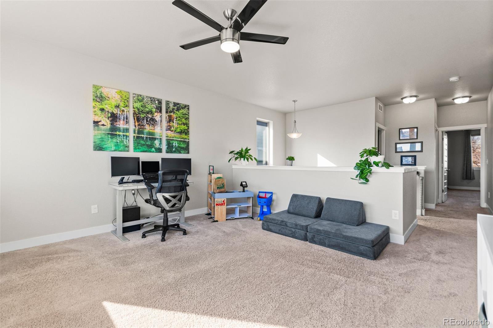 MLS Image #21 for 6893  decatur street,denver, Colorado