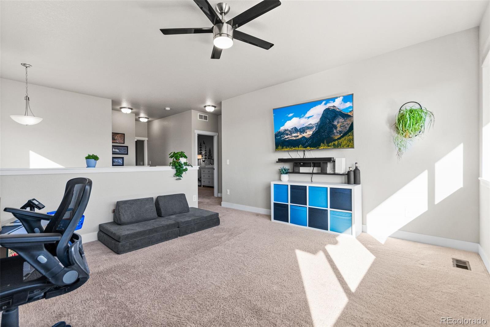 MLS Image #22 for 6893  decatur street,denver, Colorado