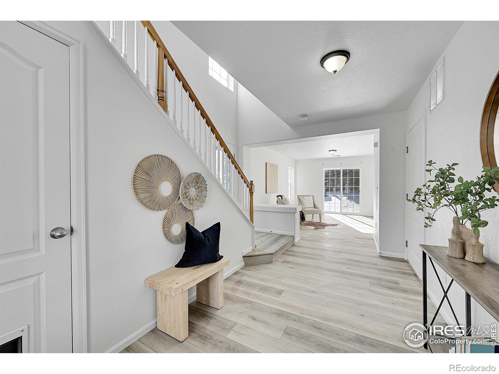 Report Image for 3912  Alcazar Drive,Castle Rock, Colorado