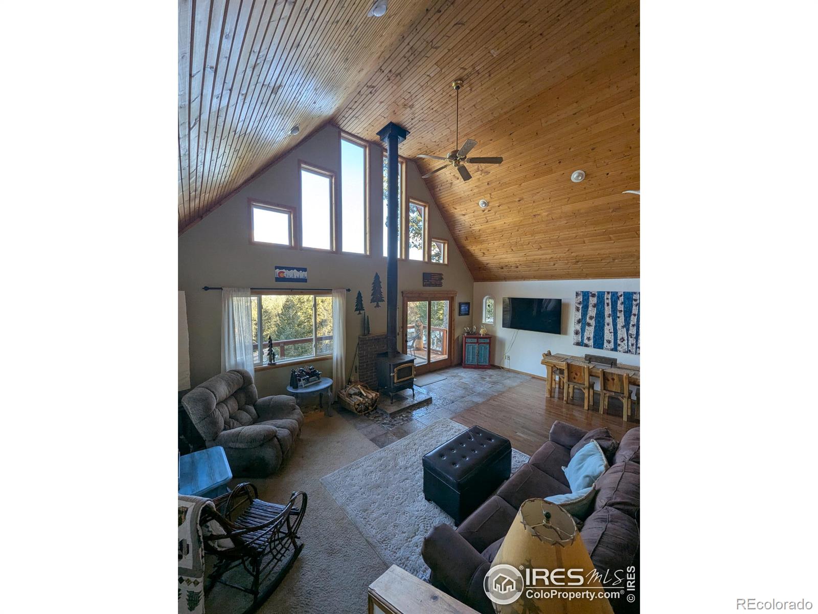 MLS Image #10 for 131  maroon bells circle,livermore, Colorado