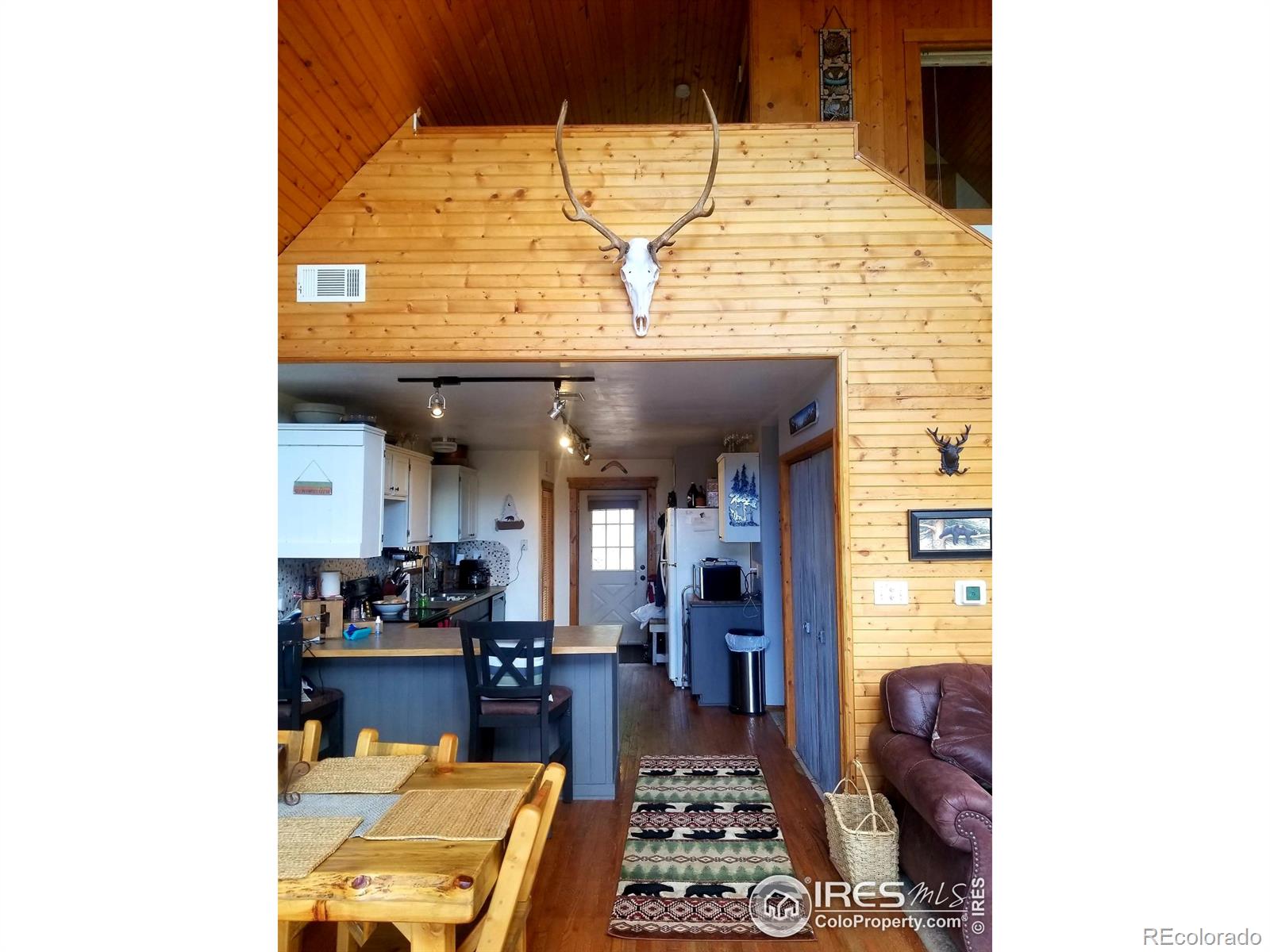 MLS Image #19 for 131  maroon bells circle,livermore, Colorado