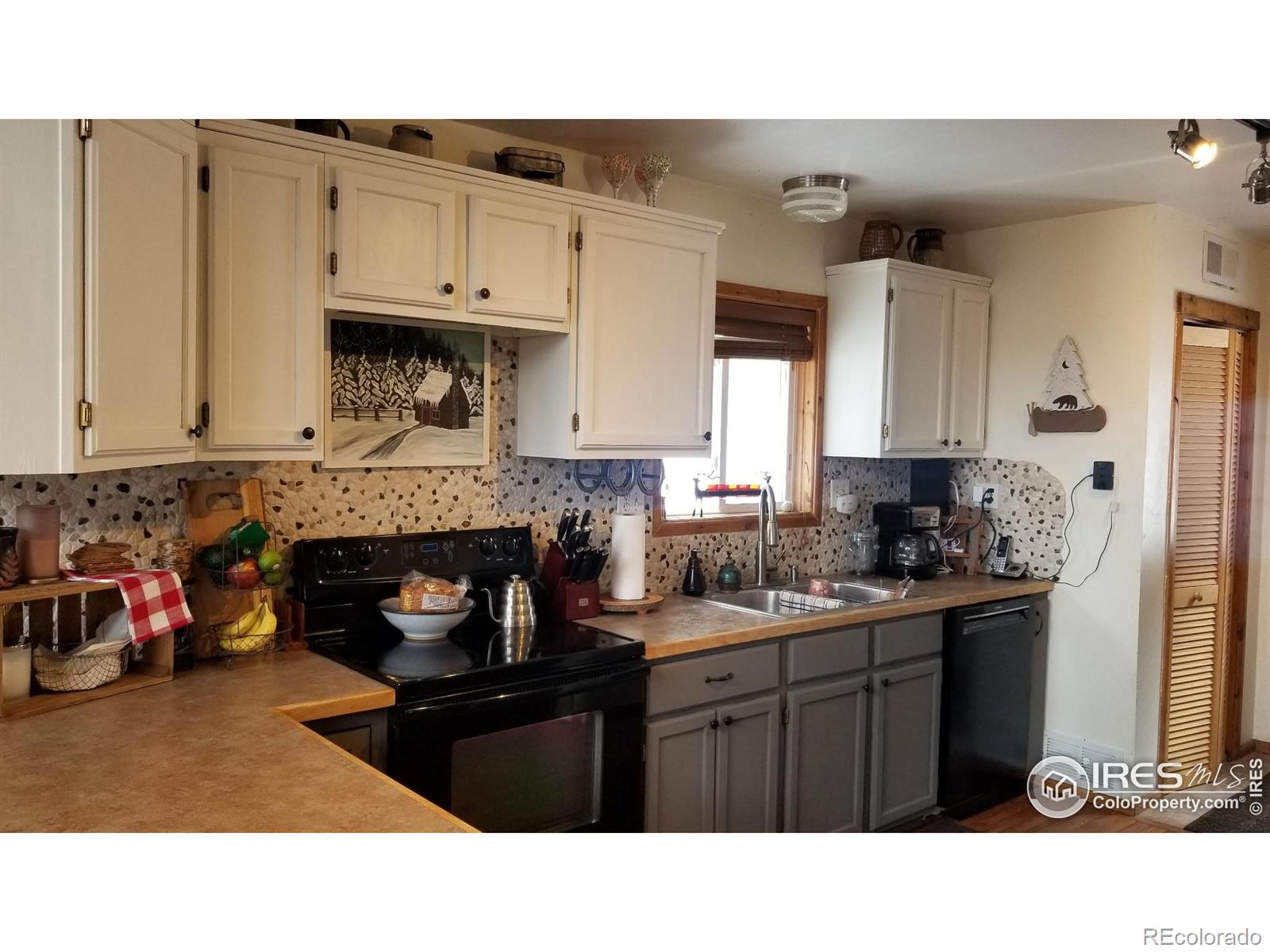 MLS Image #21 for 131  maroon bells circle,livermore, Colorado