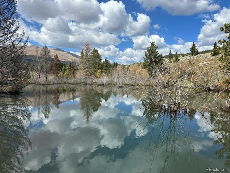 CMA Image for 33 e northrup street,Alma, Colorado