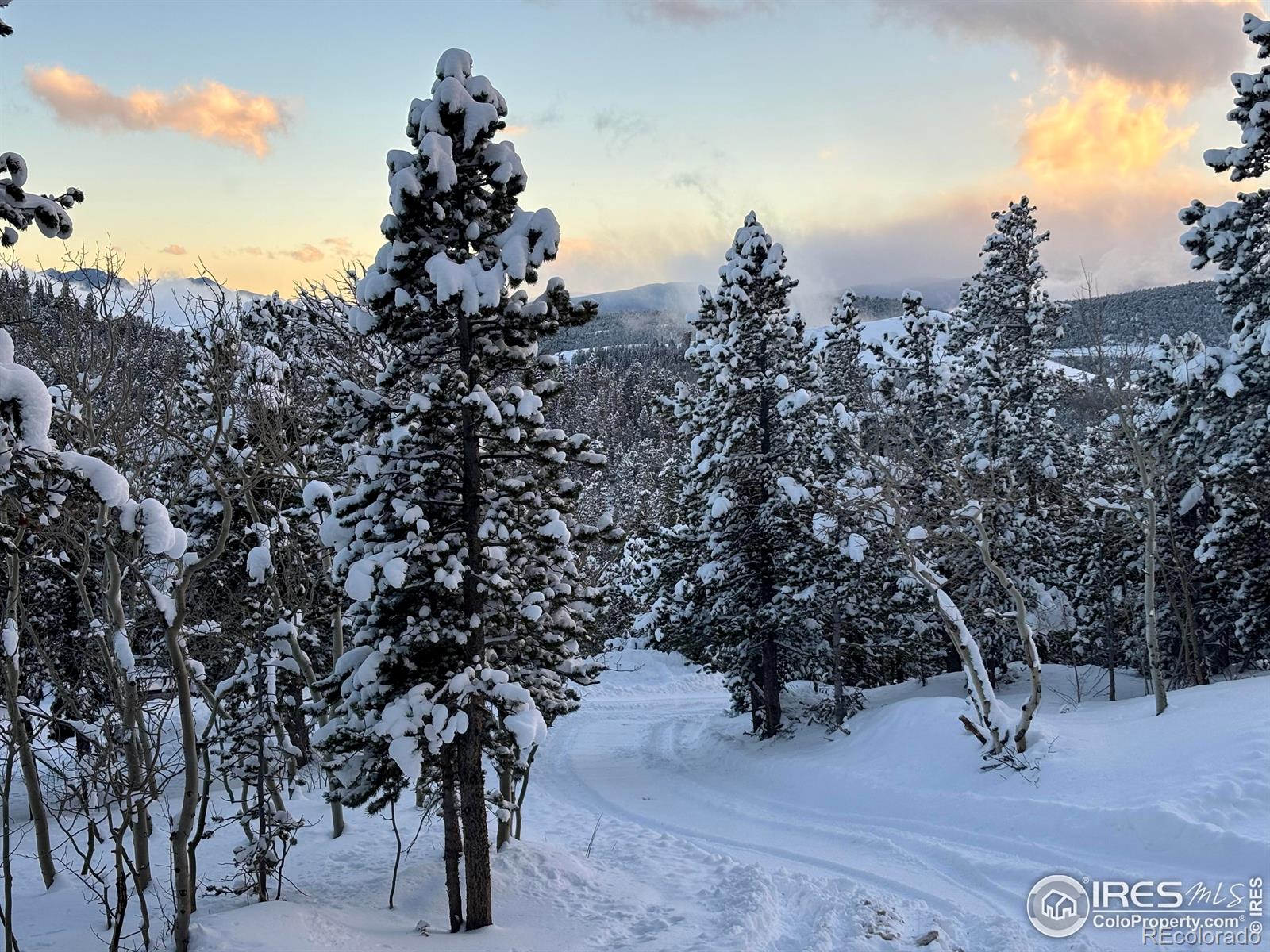 MLS Image #34 for 43391  peak to peak highway,ward, Colorado