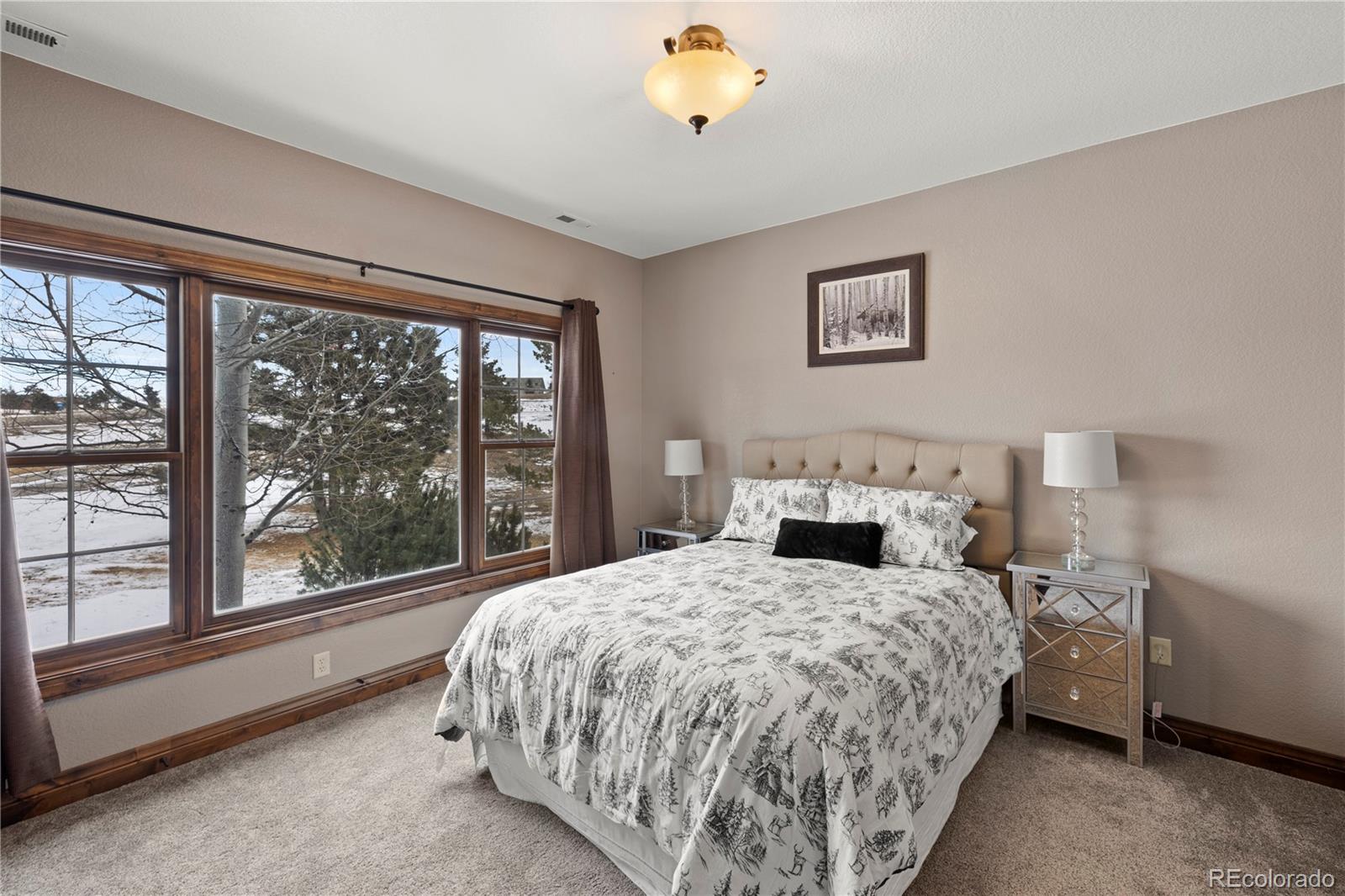MLS Image #13 for 16482  timber meadow drive,colorado springs, Colorado