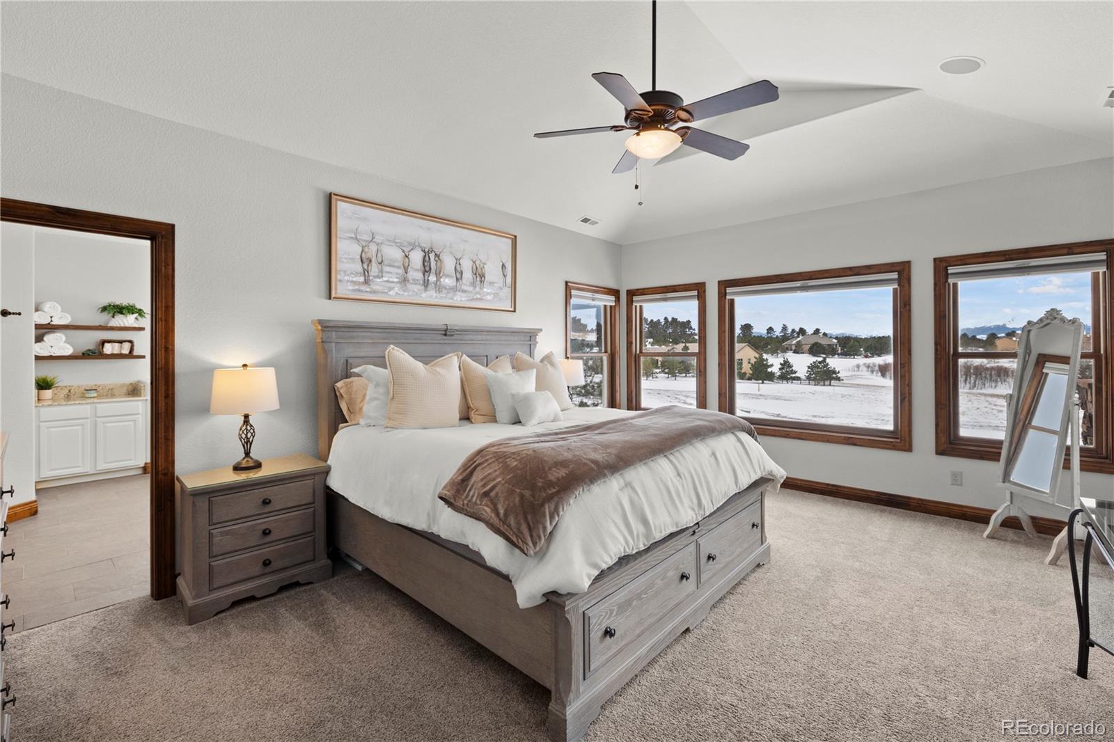 MLS Image #16 for 16482  timber meadow drive,colorado springs, Colorado