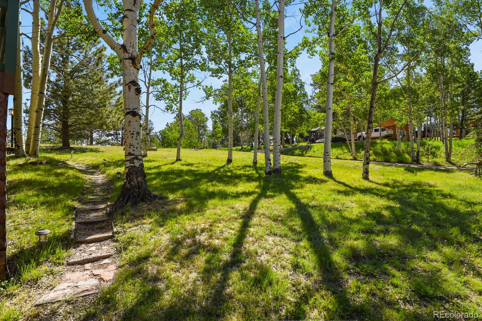 CMA Image for 95  Club Drive,Woodland Park, Colorado