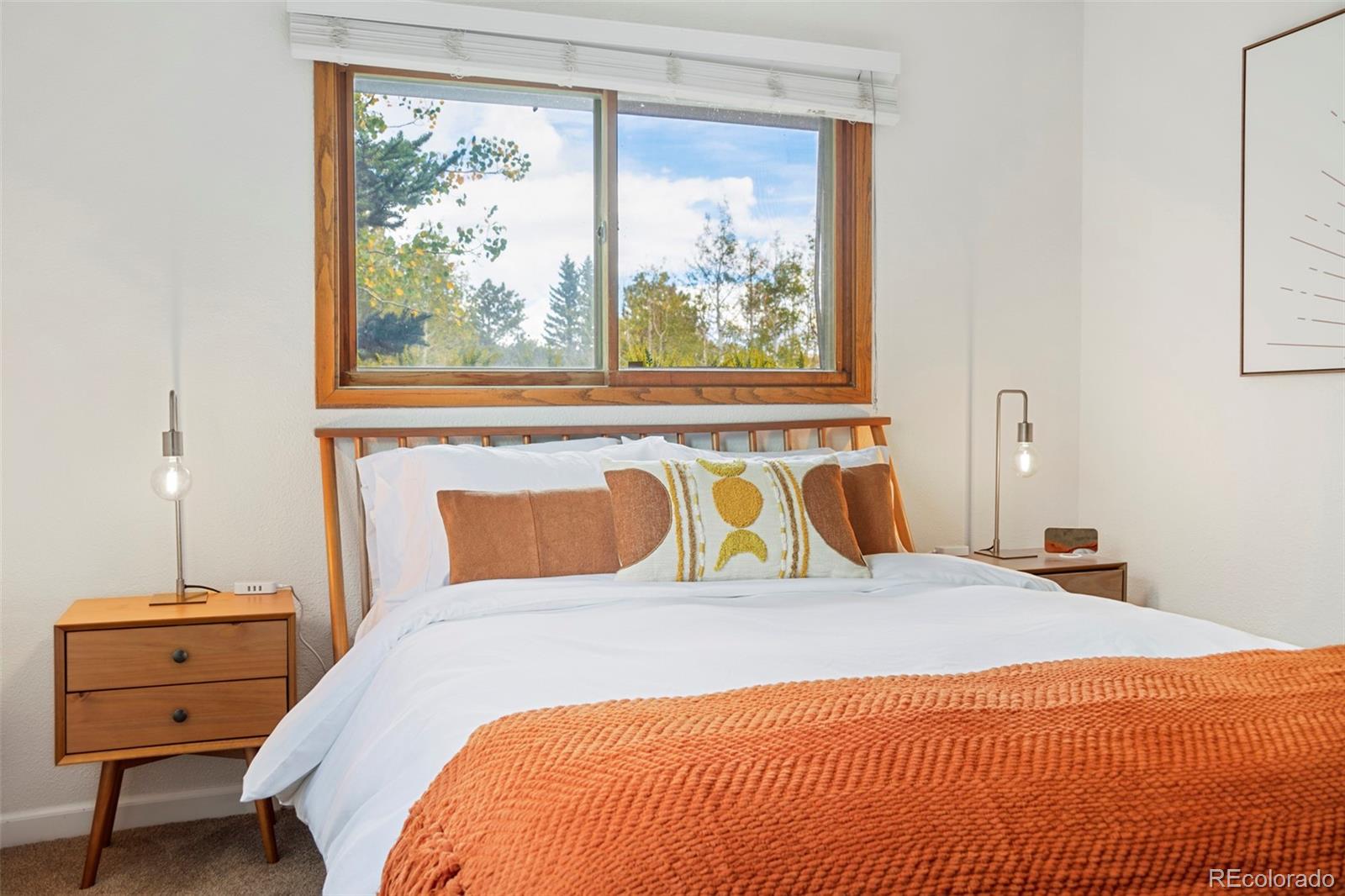 MLS Image #13 for 95  club drive,woodland park, Colorado