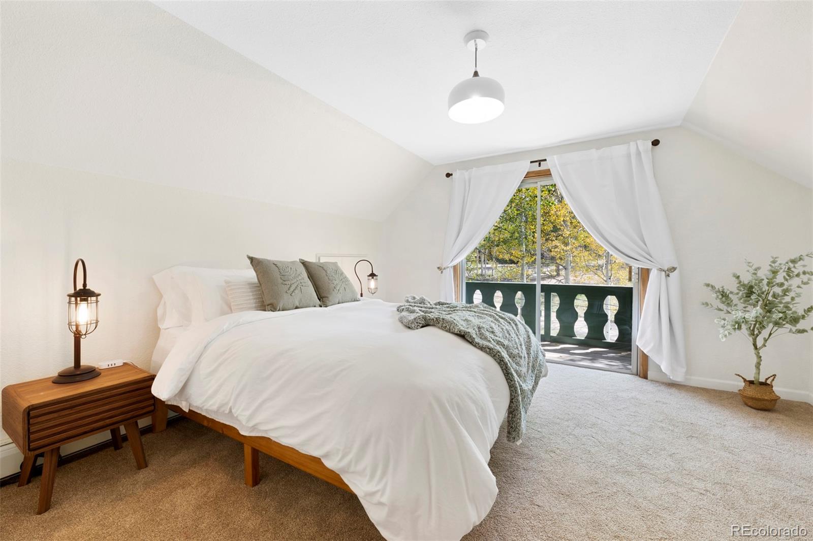 MLS Image #14 for 95  club drive,woodland park, Colorado
