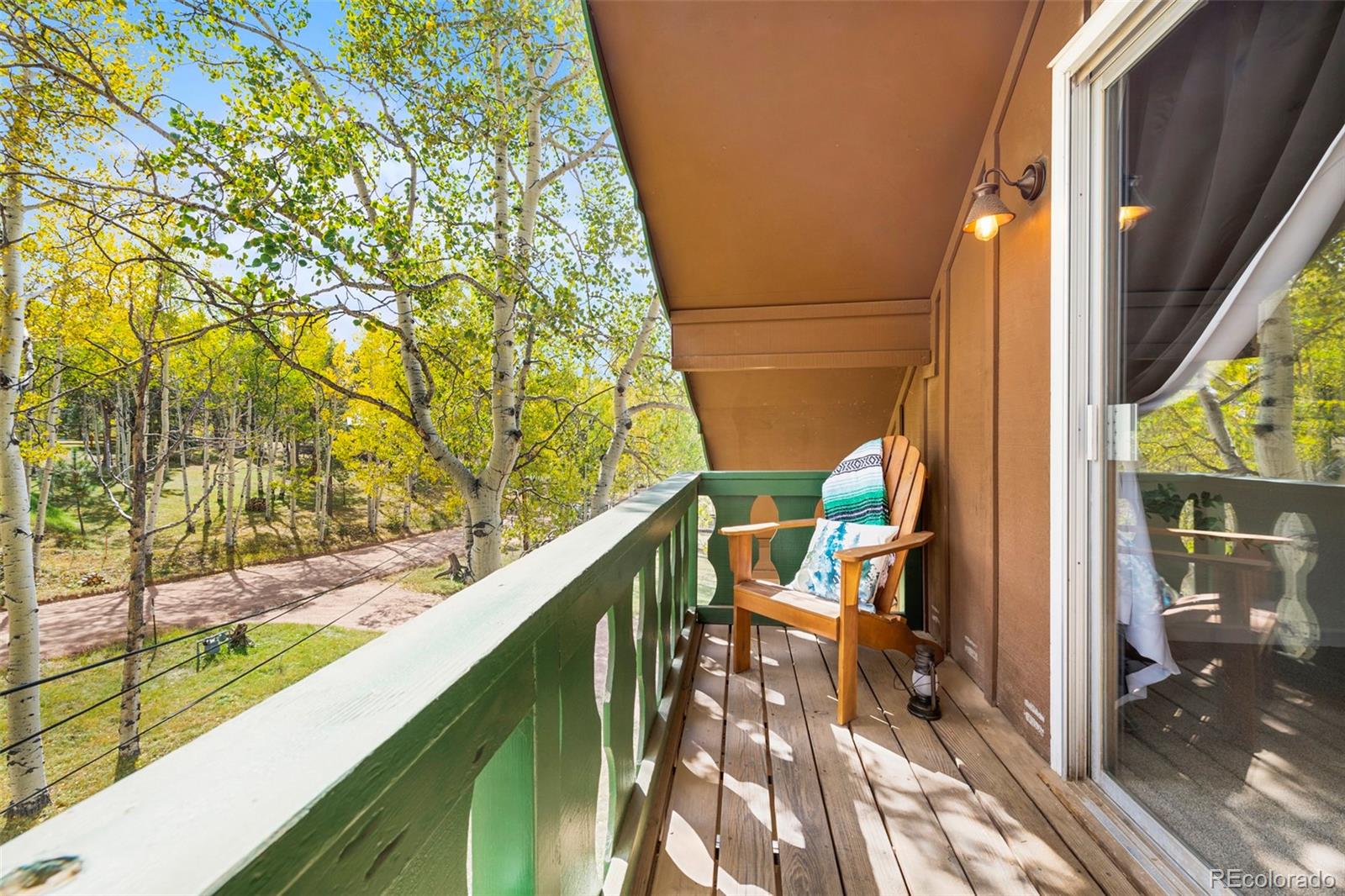 MLS Image #15 for 95  club drive,woodland park, Colorado
