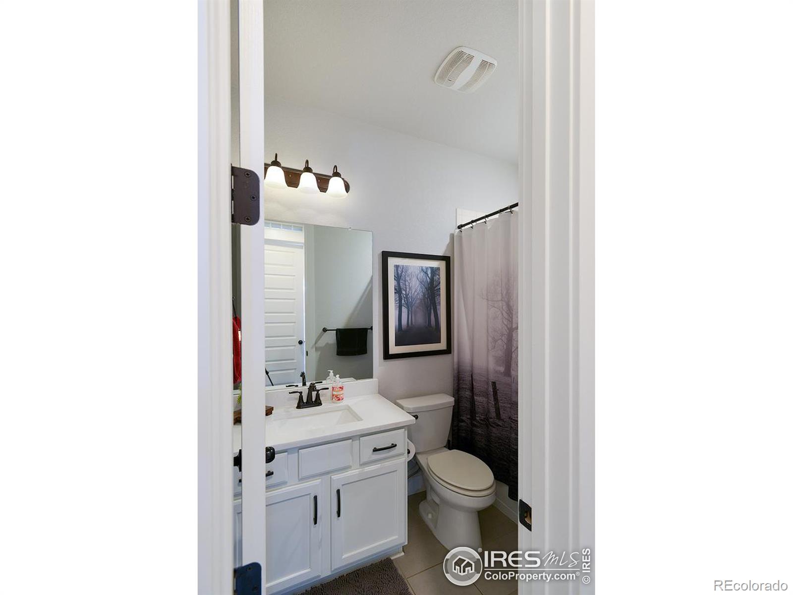 MLS Image #19 for 4367  martinson drive,loveland, Colorado
