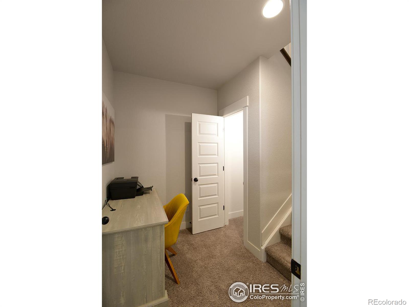 MLS Image #24 for 4367  martinson drive,loveland, Colorado