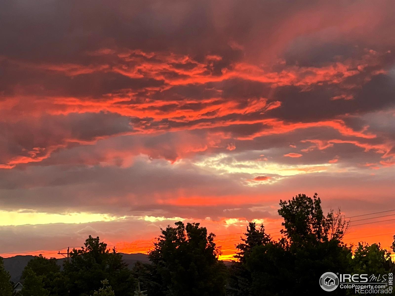 MLS Image #26 for 4367  martinson drive,loveland, Colorado