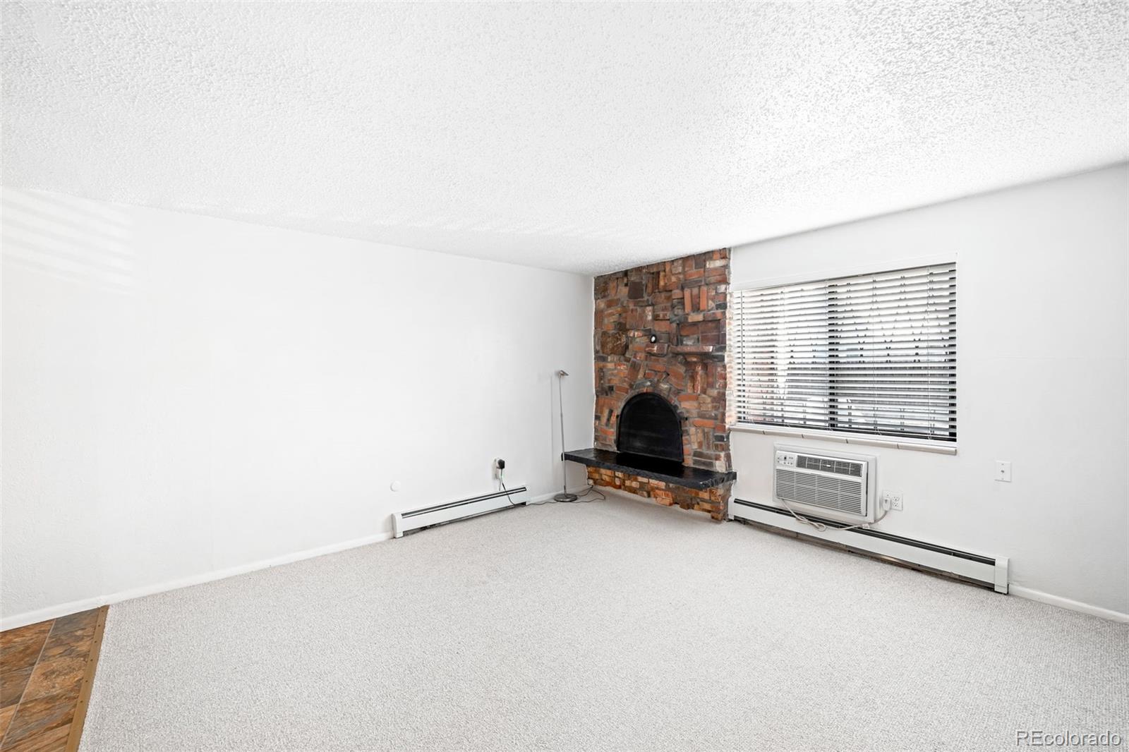MLS Image #3 for 1008 n corona street 204,denver, Colorado