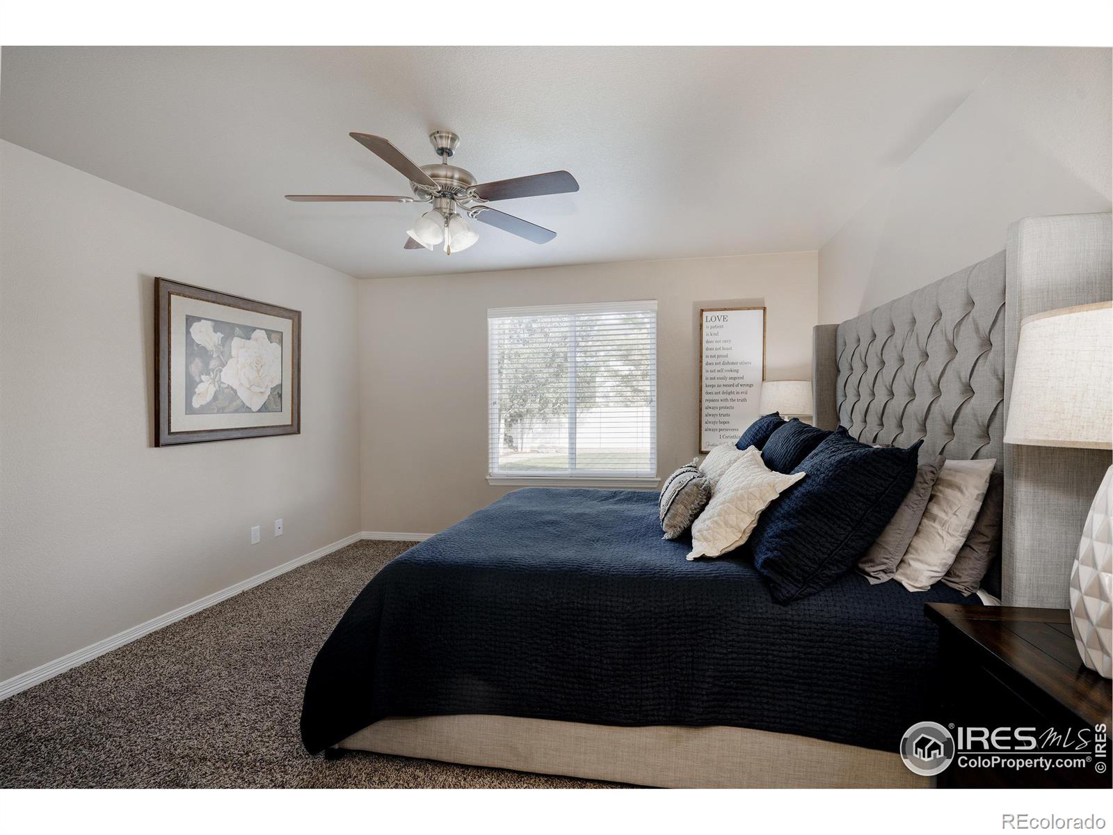 MLS Image #15 for 601  babine court,windsor, Colorado