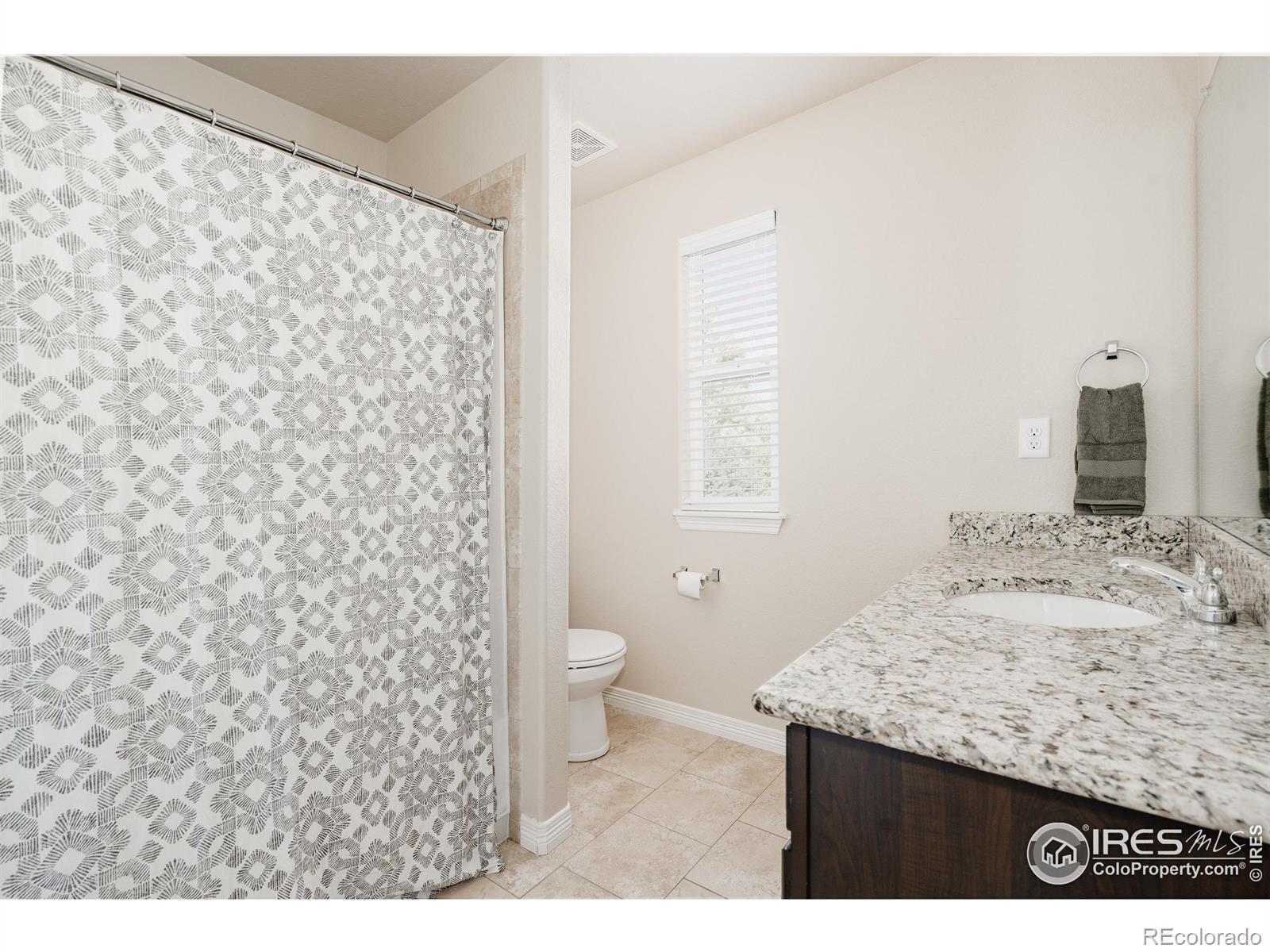 MLS Image #23 for 601  babine court,windsor, Colorado