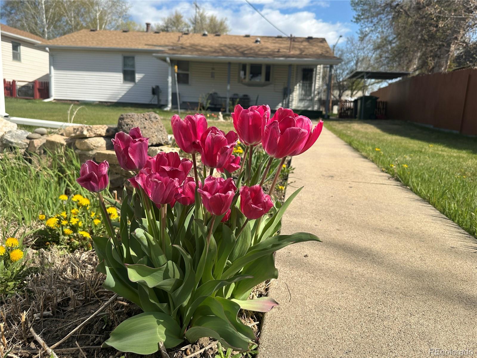 MLS Image #4 for 526 e 13th street,loveland, Colorado