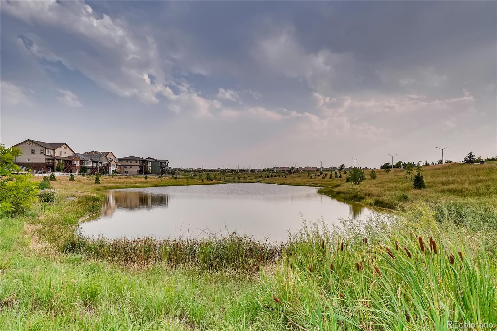MLS Image #43 for 15980  pikes peak drive,broomfield, Colorado