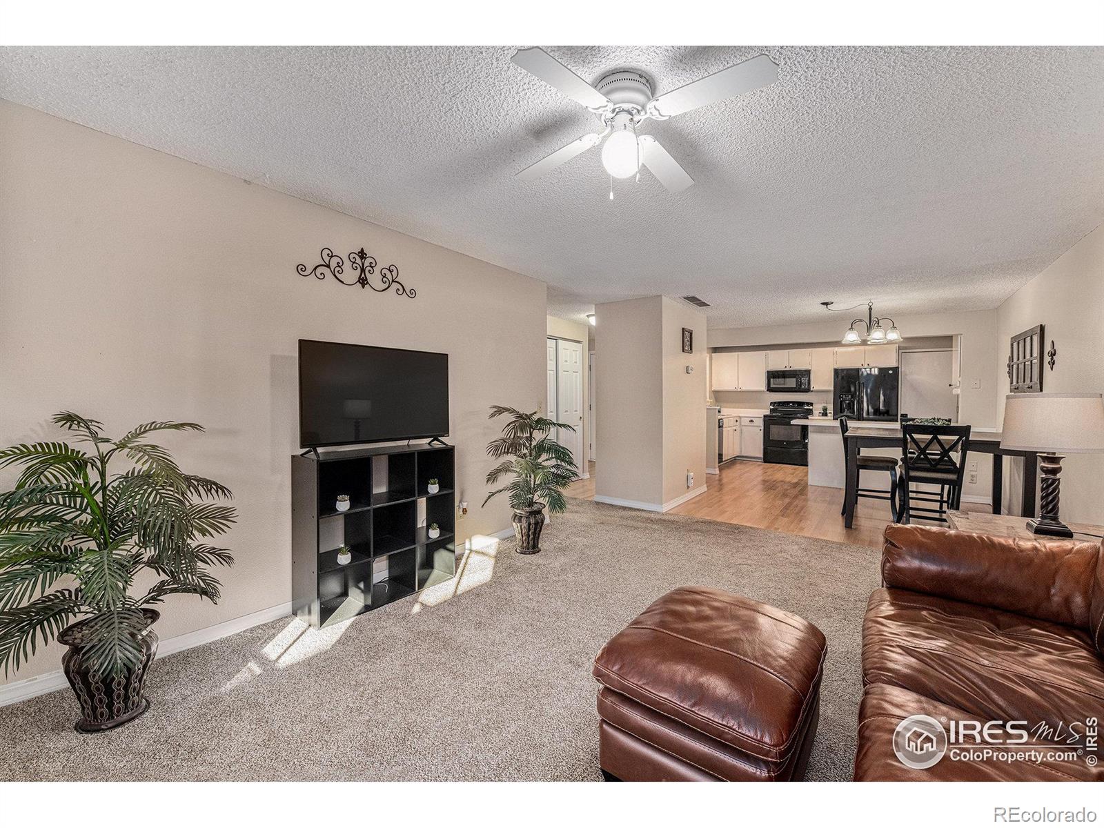 MLS Image #4 for 1634  ranae drive,loveland, Colorado