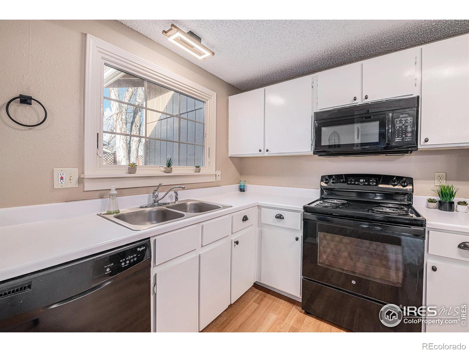 MLS Image #7 for 1634  ranae drive,loveland, Colorado