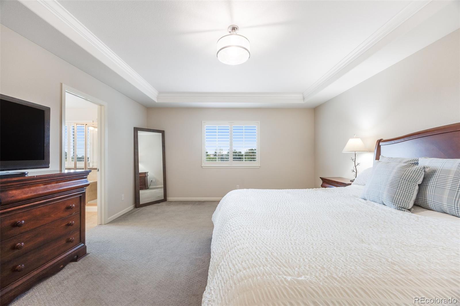 MLS Image #17 for 673  tiger lily way,highlands ranch, Colorado