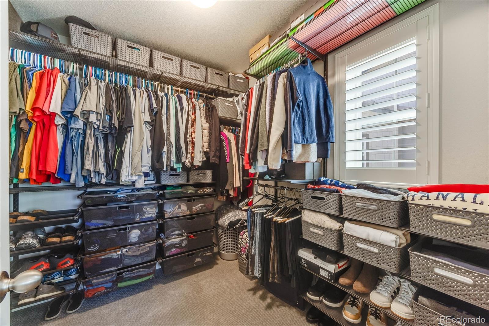 MLS Image #20 for 673  tiger lily way,highlands ranch, Colorado