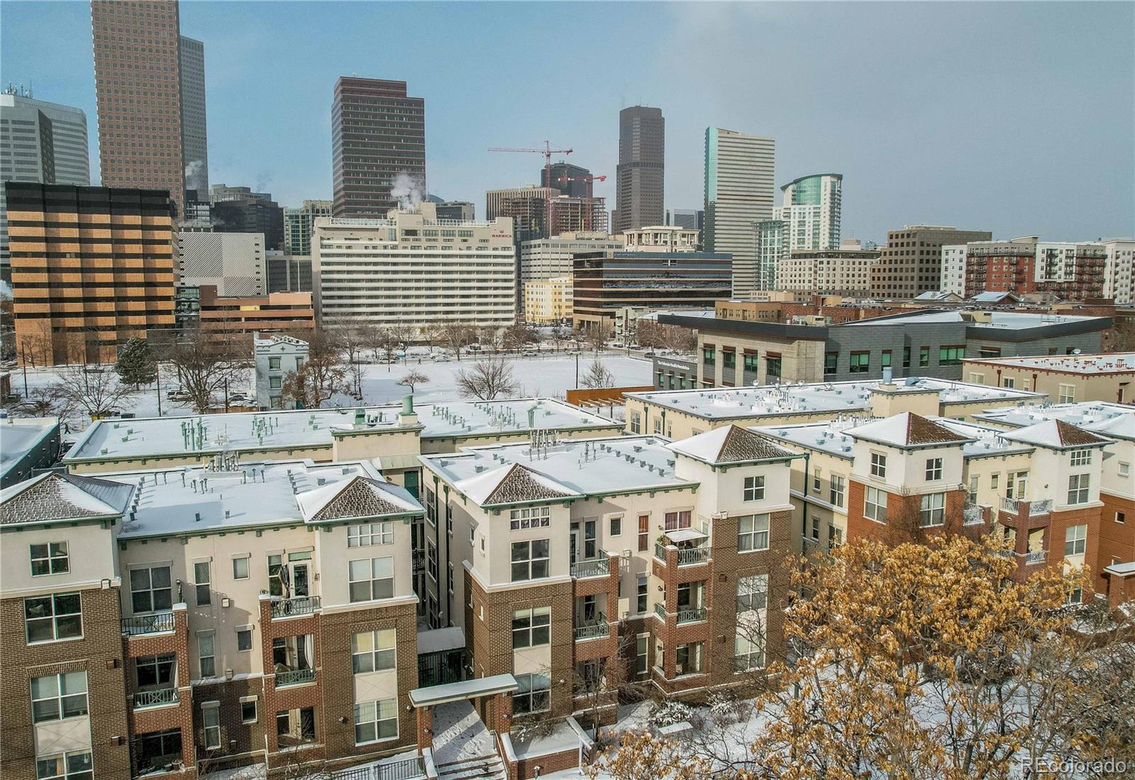 MLS Image #41 for 1727 n pearl street 201,denver, Colorado