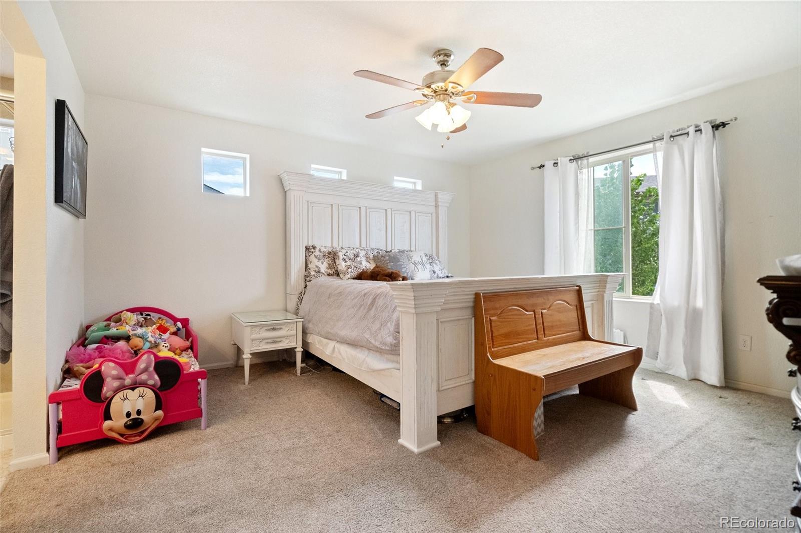 MLS Image #24 for 6790  backcountry loop,colorado springs, Colorado