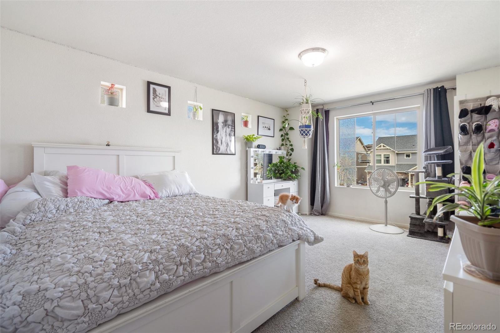 MLS Image #26 for 6790  backcountry loop,colorado springs, Colorado
