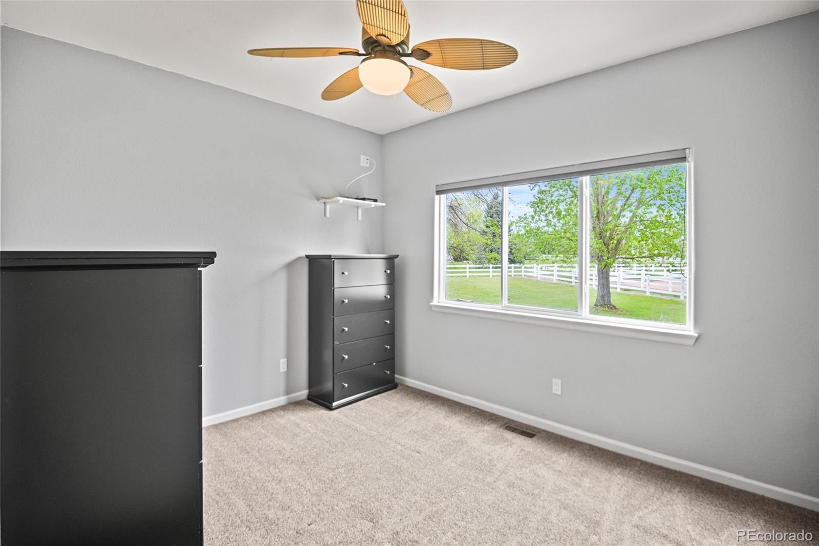 MLS Image #20 for 3784  whitetail court,mead, Colorado