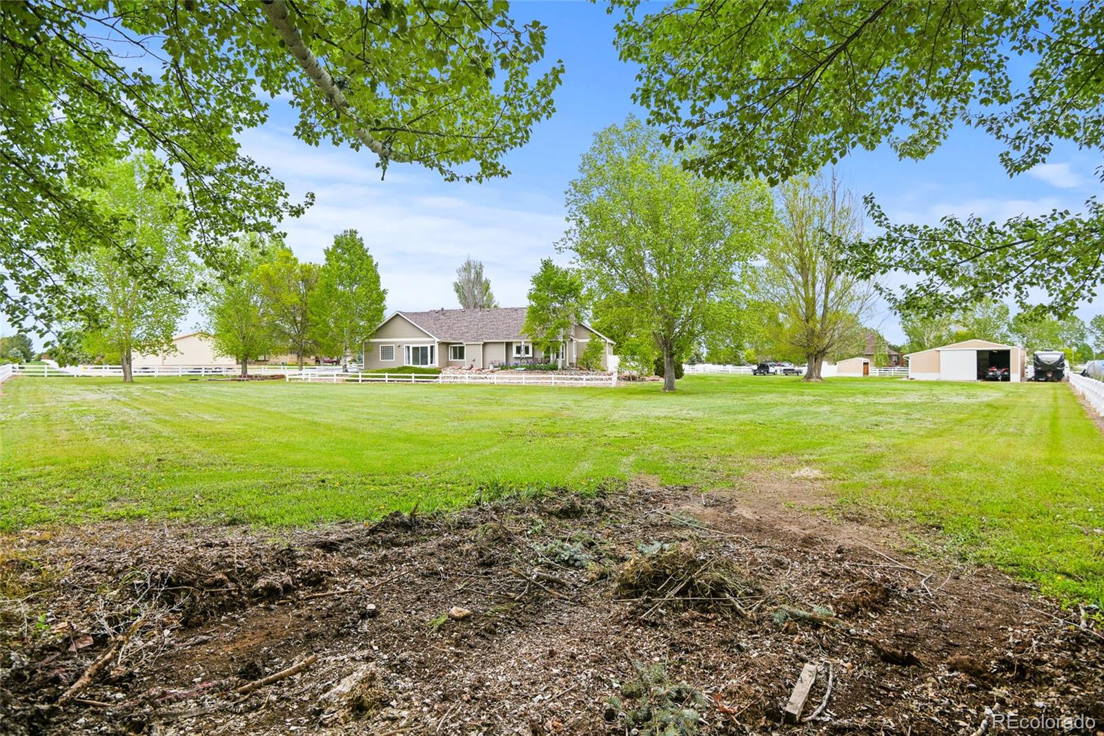 MLS Image #42 for 3784  whitetail court,mead, Colorado