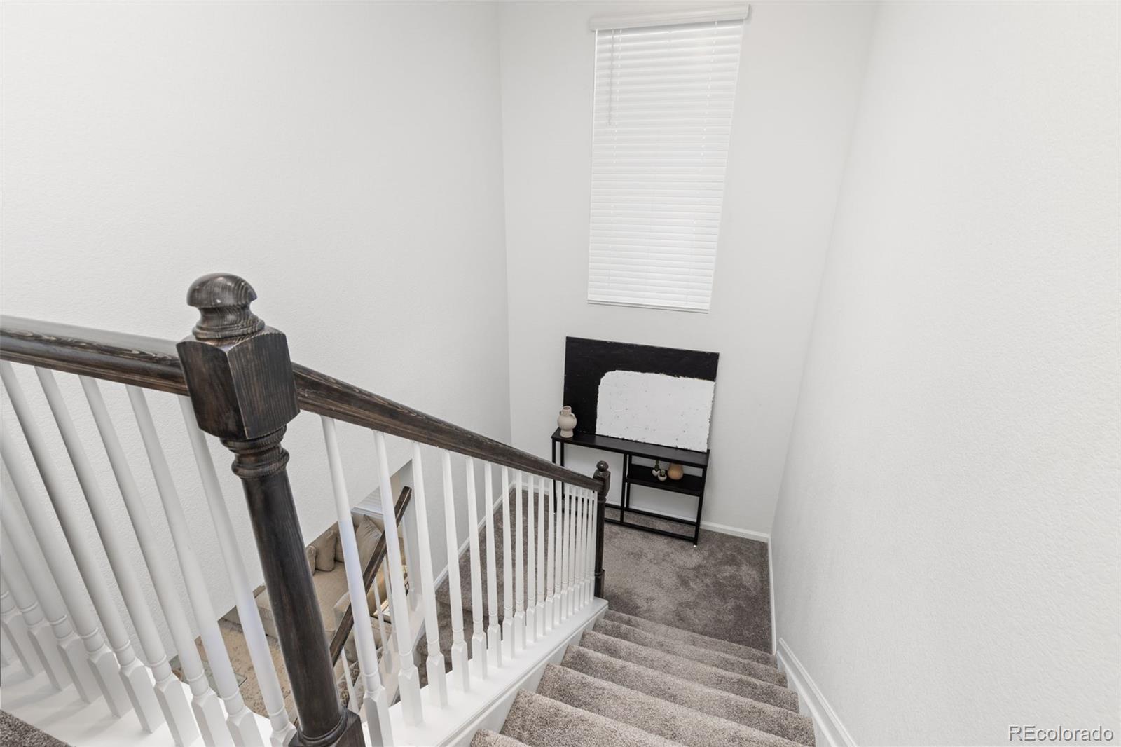 MLS Image #14 for 3989  gold bug street,aurora, Colorado