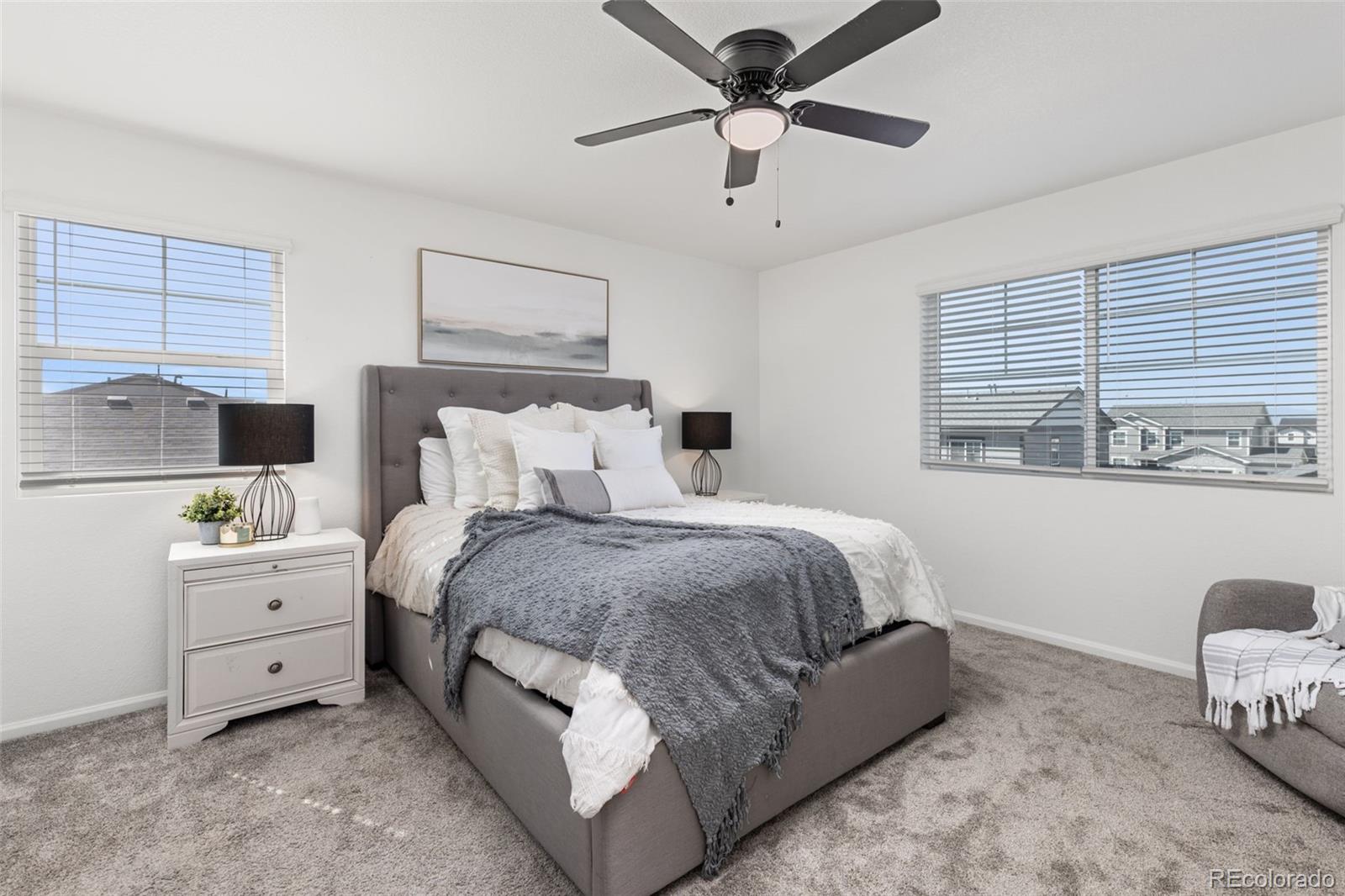 MLS Image #15 for 3989  gold bug street,aurora, Colorado