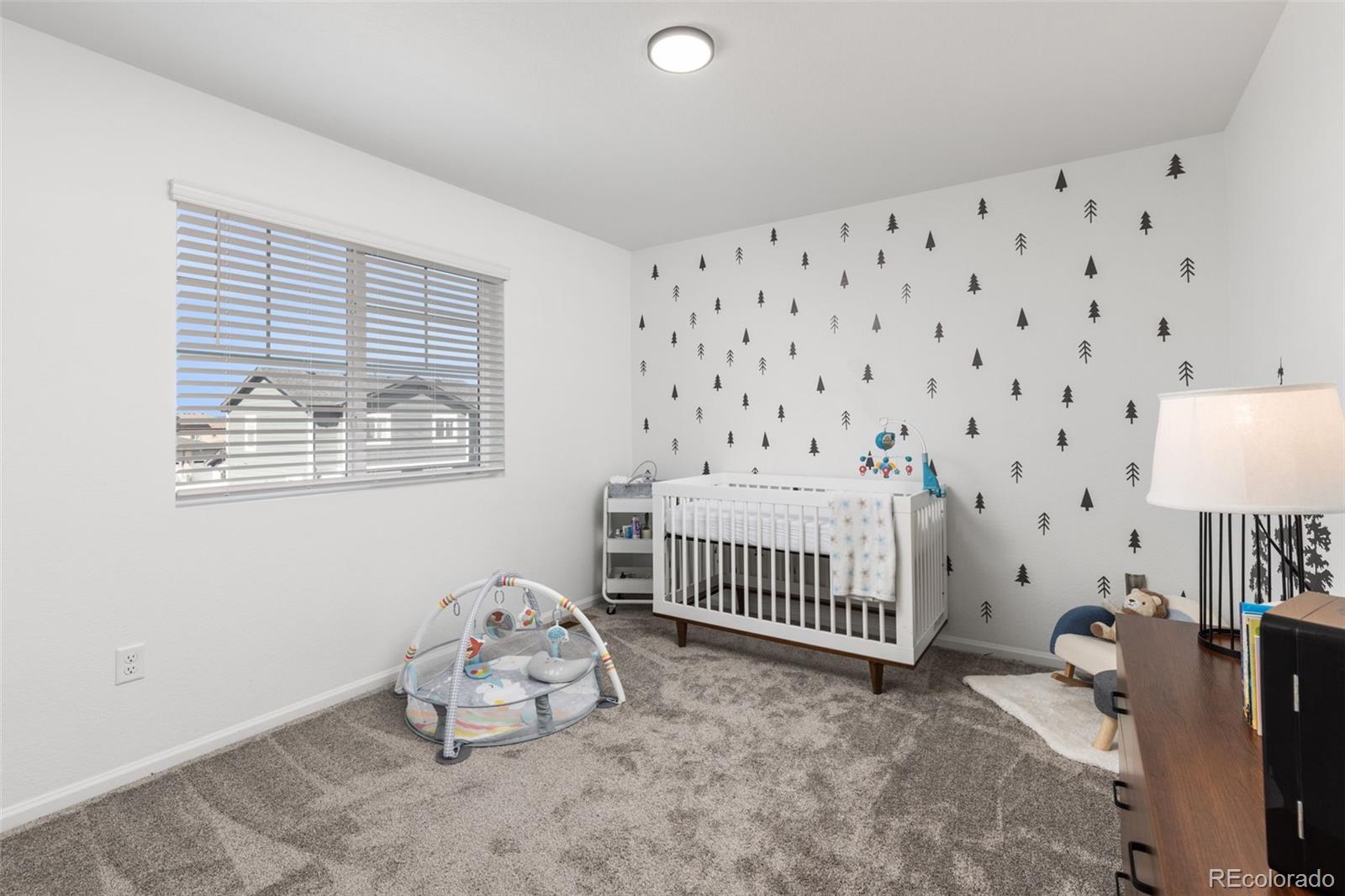 MLS Image #19 for 3989  gold bug street,aurora, Colorado