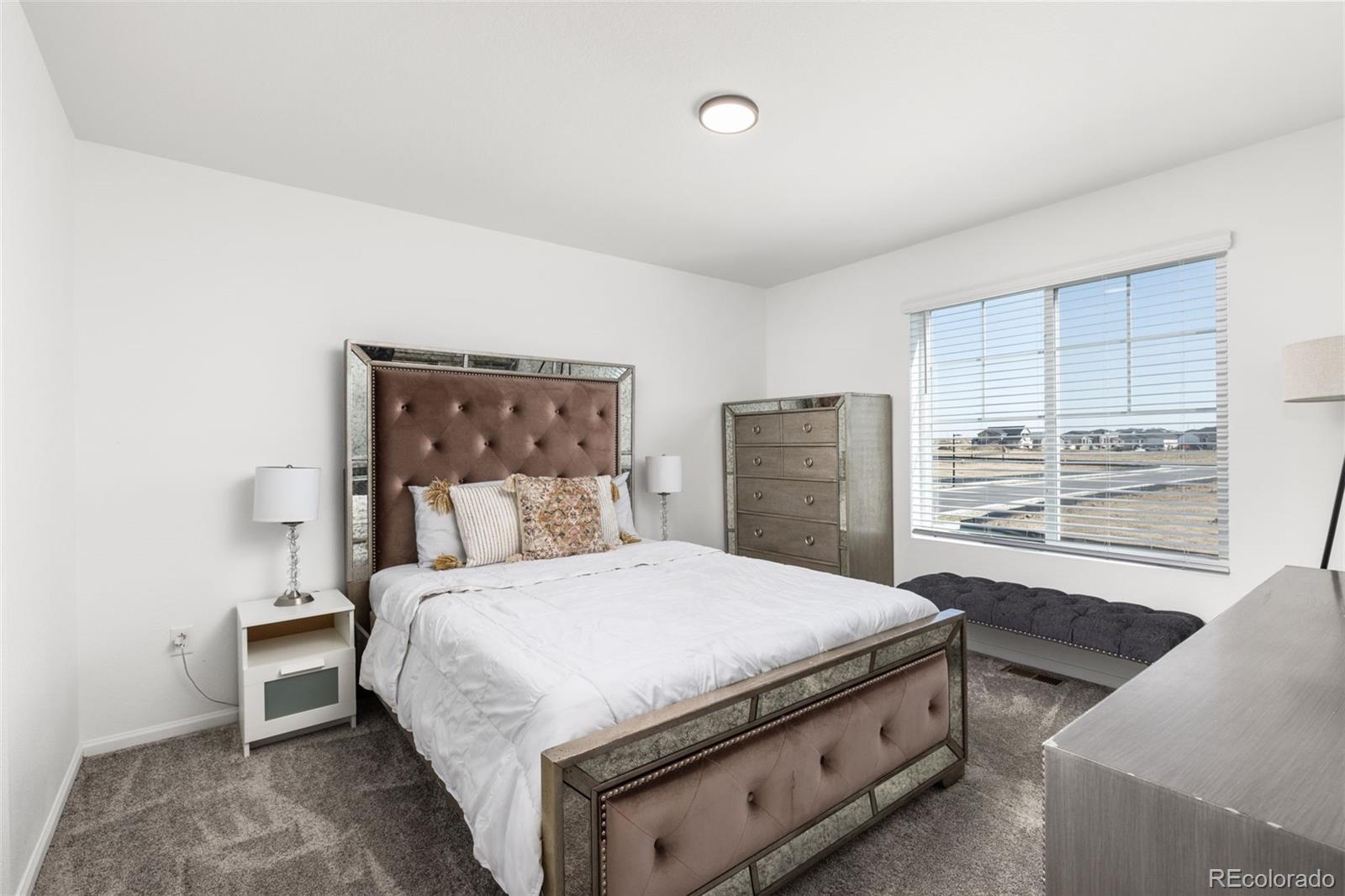 MLS Image #22 for 3989  gold bug street,aurora, Colorado