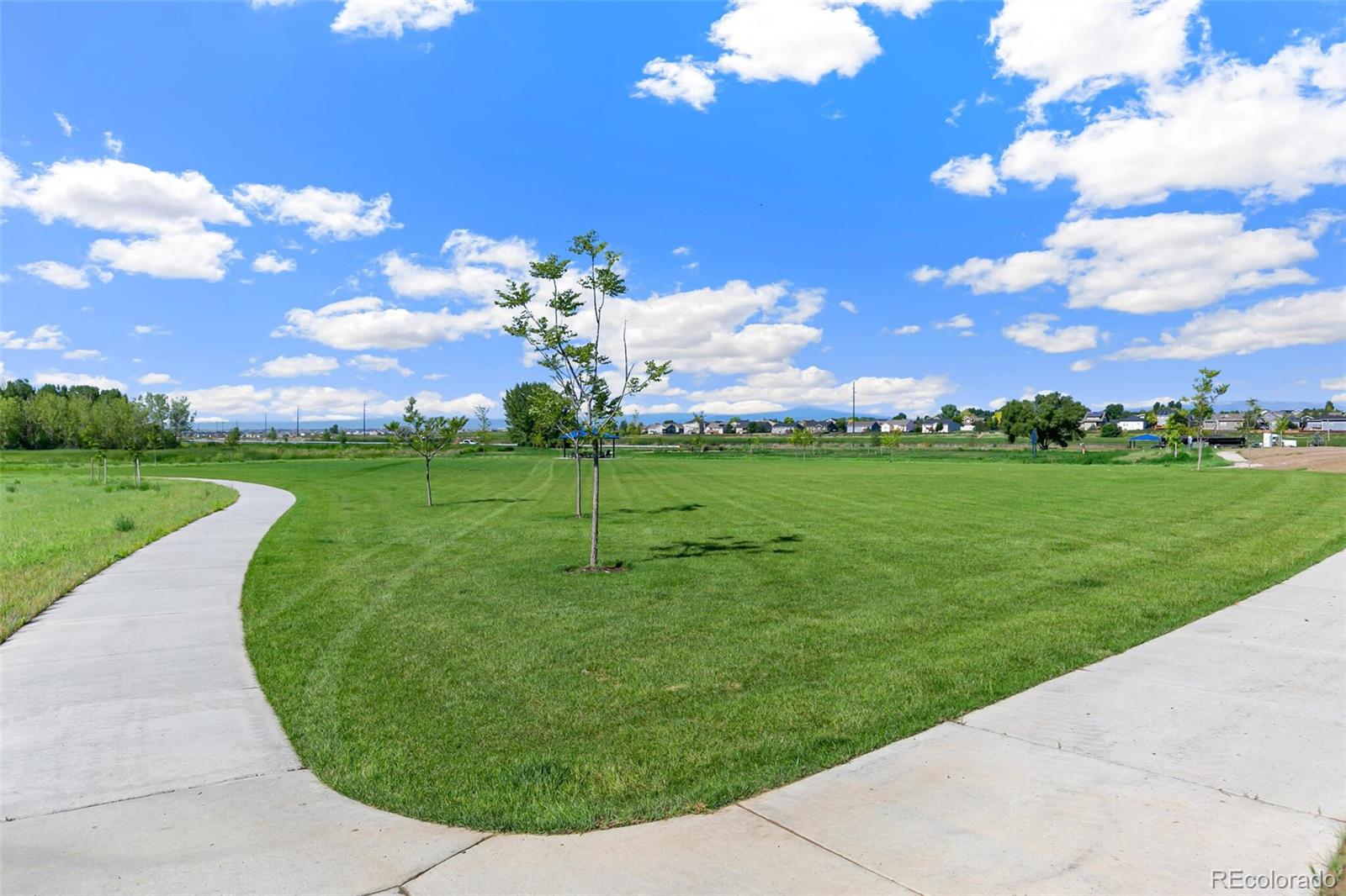 MLS Image #34 for 621  sawyers pond drive,severance, Colorado