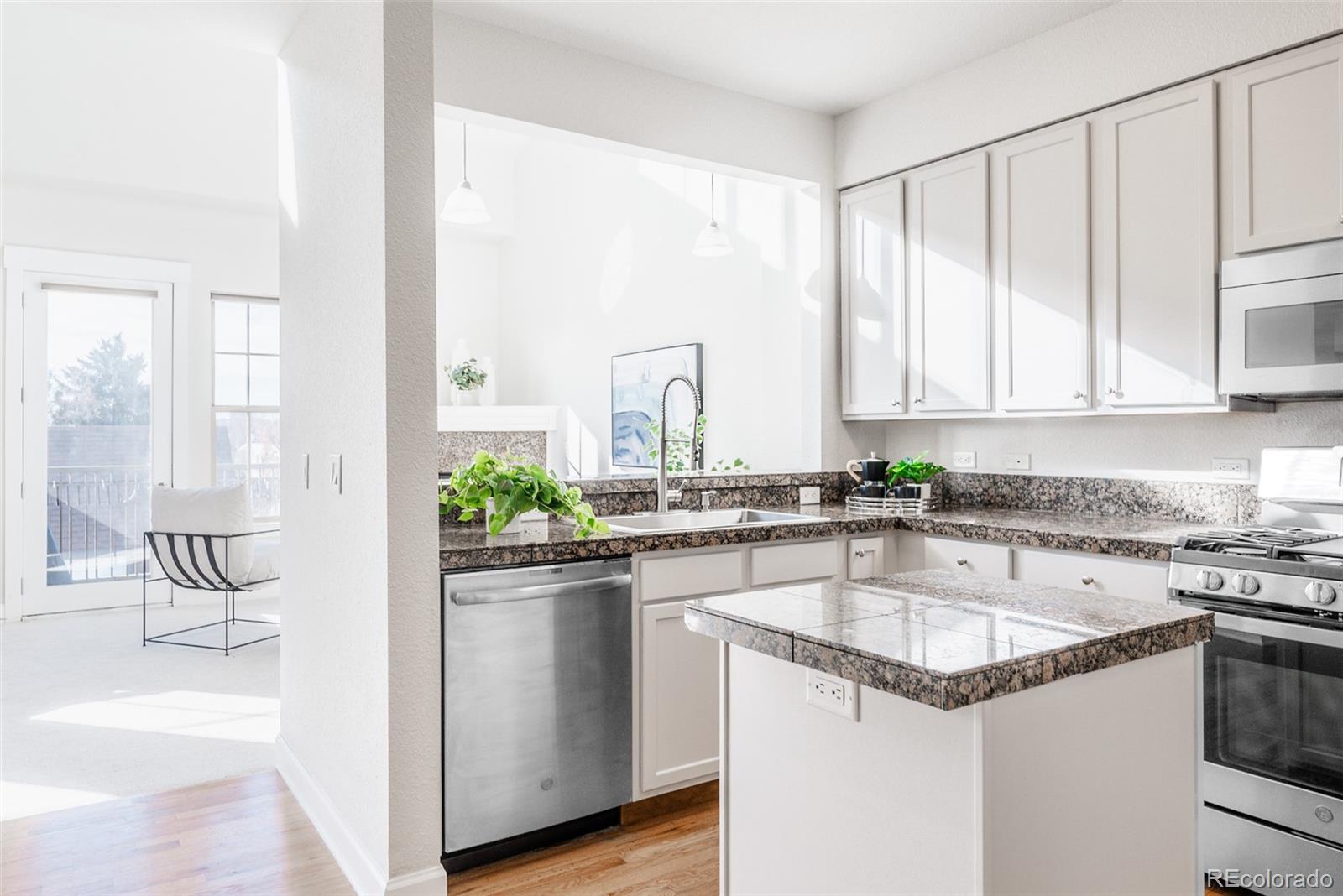 MLS Image #10 for 1699 n downing street,denver, Colorado