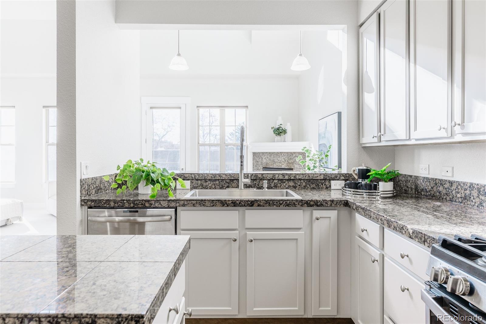 MLS Image #12 for 1699 n downing street,denver, Colorado